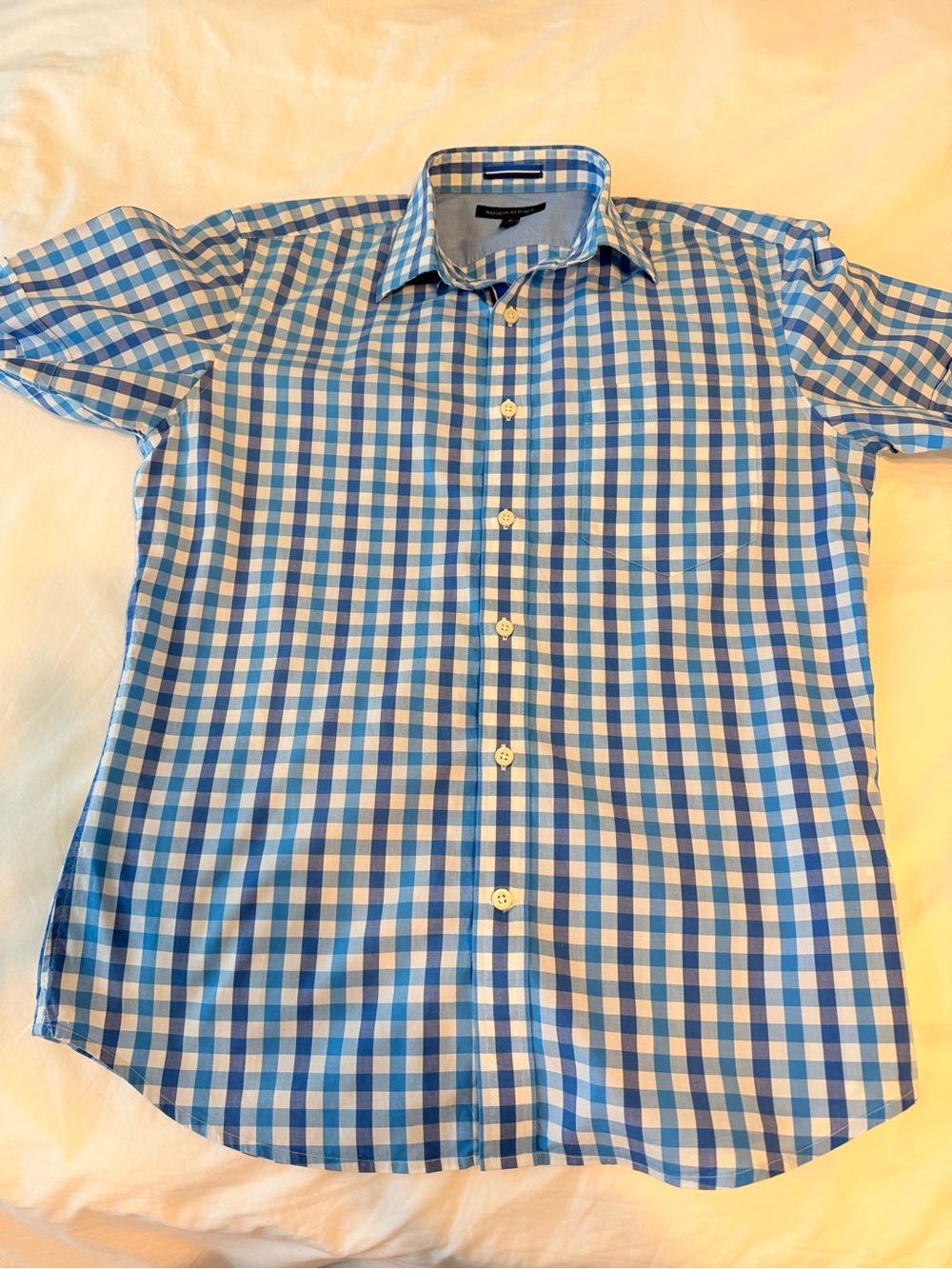 Banana Republic Blue and White Gingham Button-Down Shirt